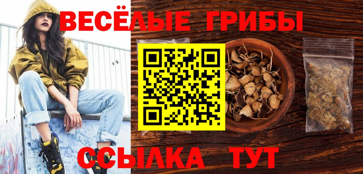 ГАШ  A-PVP СОЛЬ   КОКАИН  Меф МЯУ МЯУ   Заводоуковск  Вход с VPN 