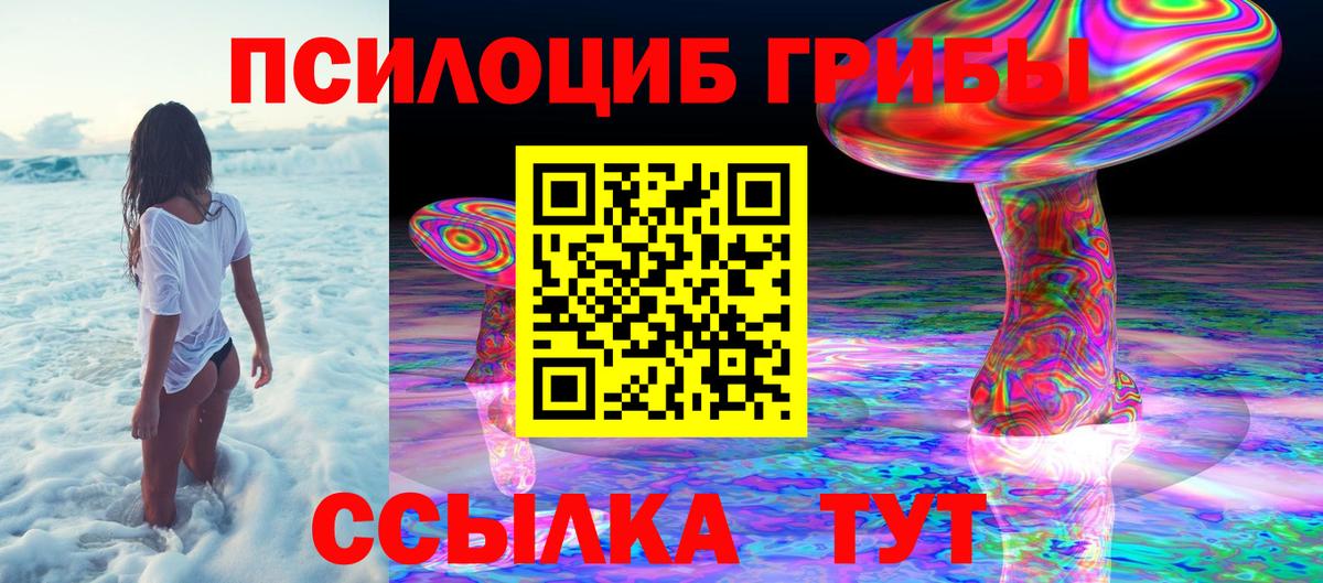 Заводоуковск  Галлюциногенные грибы Psilocybe  Вход с VPN  Псилоцибиновые грибы Psilocybine cubensis 